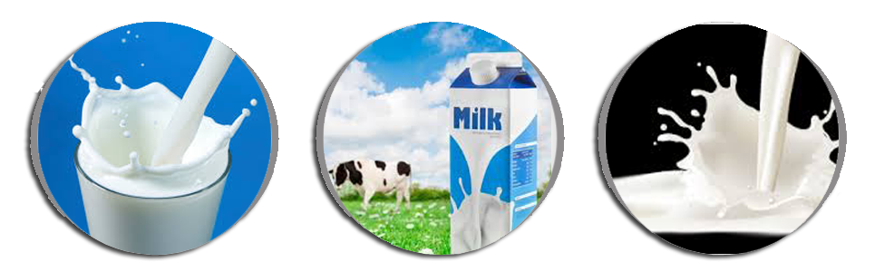 Milk Products
